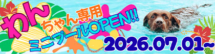 わんちゃん専用ミニプールOPEN