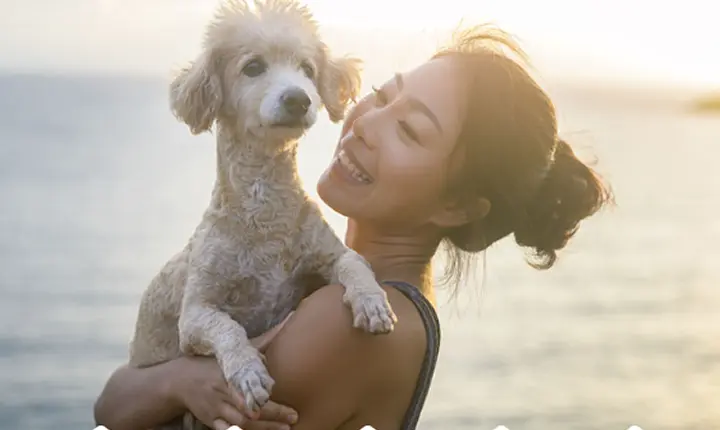 Dog Friendly