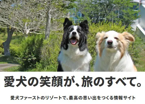 愛犬との旅をもっと楽しく、もっと安心に