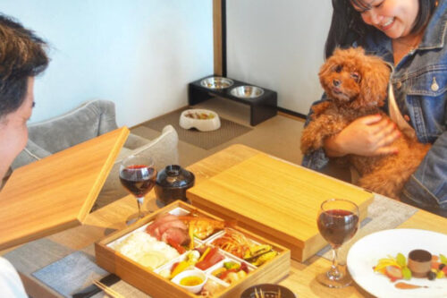 1日2室（1部屋4名様）まで！ワンちゃんと一緒にお部屋食プラン♪