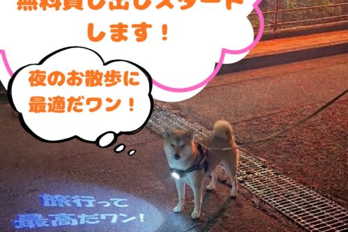 2026年9月1日よりワンちゃん用プロジェクターライト無料貸し出し始まります！